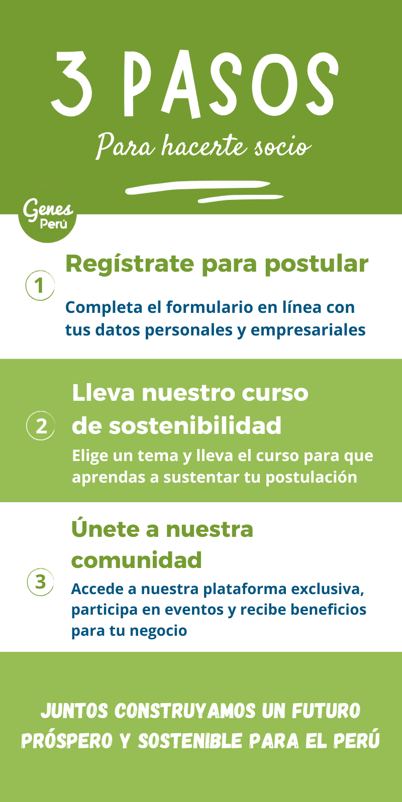 Miembros de GENES Perú colaborando